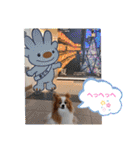ぱぴぱぴパピヨン16（個別スタンプ：4）