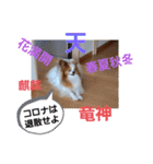 ぱぴぱぴパピヨン16（個別スタンプ：32）