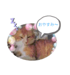 ワンちゃんとニャンちゃんとウサちゃん（個別スタンプ：10）