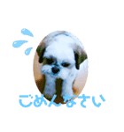 デカメル☆スタンプ（個別スタンプ：11）