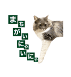 カルダモンだもん！(2)（個別スタンプ：26）