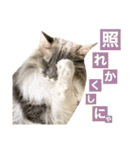 カルダモンだもん！(2)（個別スタンプ：38）