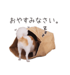 仲良し元気とおでん。（個別スタンプ：1）