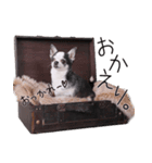 仲良し元気とおでん。（個別スタンプ：3）