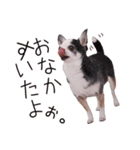 仲良し元気とおでん。（個別スタンプ：7）