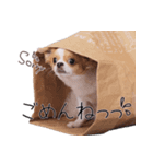 仲良し元気とおでん。（個別スタンプ：8）