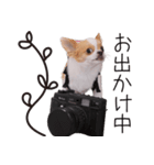 仲良し元気とおでん。（個別スタンプ：9）