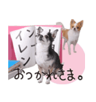 仲良し元気とおでん。（個別スタンプ：10）