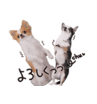 仲良し元気とおでん。（個別スタンプ：12）