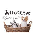 仲良し元気とおでん。（個別スタンプ：14）