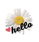 flowords（個別スタンプ：7）