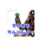 #ソラシすたんぷ（個別スタンプ：39）