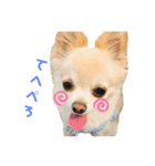 ツナぴよ⑤（個別スタンプ：2）