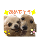 ツナぴよ⑤（個別スタンプ：8）