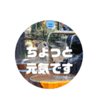 双極性障害に使えるスタンプ（個別スタンプ：3）