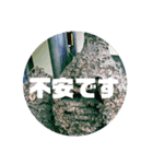 双極性障害に使えるスタンプ（個別スタンプ：15）