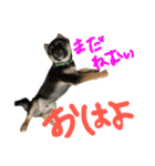 ぼくれおくん（個別スタンプ：3）