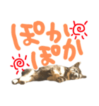 ぼくれおくん（個別スタンプ：10）