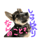 ぼくれおくん（個別スタンプ：13）