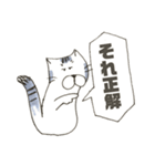 ねこのとーたくん①（個別スタンプ：29）