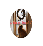 茶トラねこのちゃあ 3（個別スタンプ：10）