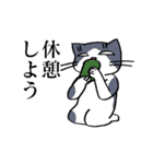 ねこだらスタンプ(ゲームをしよう)vol.4（個別スタンプ：8）