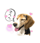 続々♡はァたん（個別スタンプ：4）