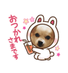 可愛いチワワのひめちゃん（個別スタンプ：3）