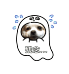 可愛いチワワのひめちゃん（個別スタンプ：28）