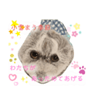 お友達ワンコ大集合4（個別スタンプ：2）