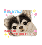お友達ワンコ大集合4（個別スタンプ：3）