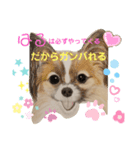 お友達ワンコ大集合4（個別スタンプ：5）