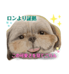 お友達ワンコ大集合4（個別スタンプ：7）