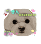 お友達ワンコ大集合4（個別スタンプ：8）