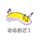 画伯のウミウシたち（個別スタンプ：20）