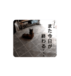 デキのスタンプ（個別スタンプ：3）