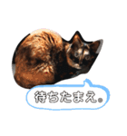 デキのスタンプ（個別スタンプ：8）