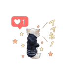 エガちゃんスタンプ（個別スタンプ：1）