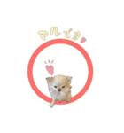エガちゃんスタンプ（個別スタンプ：4）