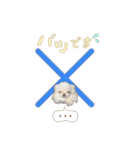 エガちゃんスタンプ（個別スタンプ：5）