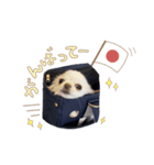エガちゃんスタンプ（個別スタンプ：6）