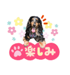 ミニチュアダックスのおっとりヴィヴィアン（個別スタンプ：9）