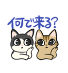 古賀家が使いやすい猫のスタンプ（個別スタンプ：7）
