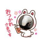 アルビノインコ きなこ3（個別スタンプ：5）