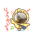 アルビノインコ きなこ3（個別スタンプ：8）
