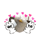 アルビノインコ きなこ3（個別スタンプ：17）