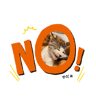 The feelings of Omochi, the cat（個別スタンプ：2）