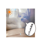 The feelings of Omochi, the cat（個別スタンプ：6）