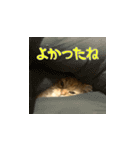 毎日を生きるココちゃん（個別スタンプ：18）
