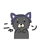 ごましおチワワの日常（個別スタンプ：2）